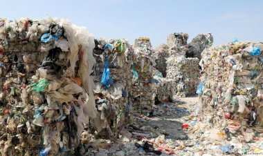 Almanya'dan Türkiye'ye gönderilen plastik atıklar: Bakan yasa dışı ihracata yasak istiyor