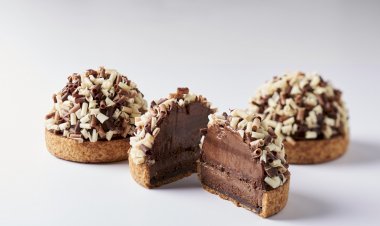 Barry Callebaut Türkiye, Chocovic markasının ürün gamını
