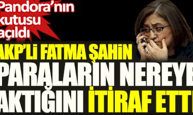 AKP'li Fatma Şahin paraların nereye aktığını tek tek anlattı: