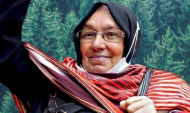 47 Kurumdan Ortak Talep: Orman Kanunu Ormanları Korusun İstiyoruz!