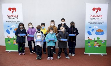Mavi Kapaklar Sokak Hayvanları için Mama Kabına Dönüştürüldü