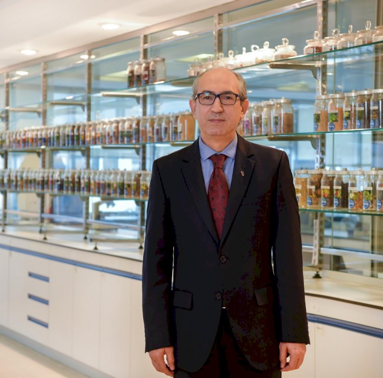 'Saç dökülmesini önleyen şampuan' kategorisinde bu yıl da Türkiye lideri oldu