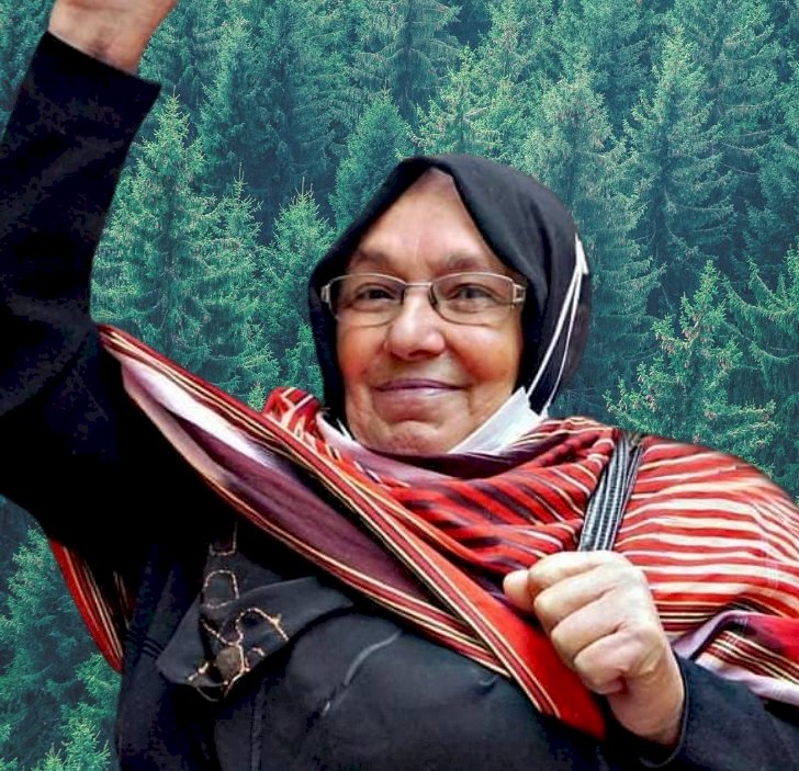 47 Kurumdan Ortak Talep: Orman Kanunu Ormanları Korusun İstiyoruz!