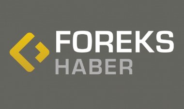ForeksHaber ‘Fitch anketi’ sonuçlarını açıkladı