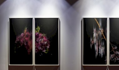 Kalyon Kültür Nefes Alan Bir Dünya İçin Sanatseverleri Flora Sergisine Davet Ediyor