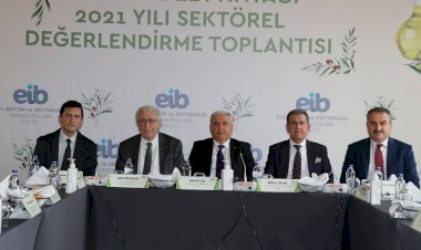 Ambalajlı zeytin ve zeytinyağı ihracatını artırmak için destekler artırılsın talebi