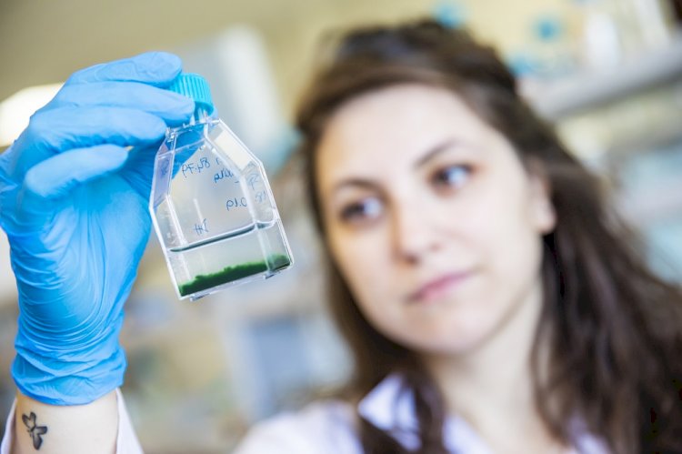 Burs fırsatı: Bilim alanında eğitim almak isteyen beş kadına, British Council’dan STEM bursları
