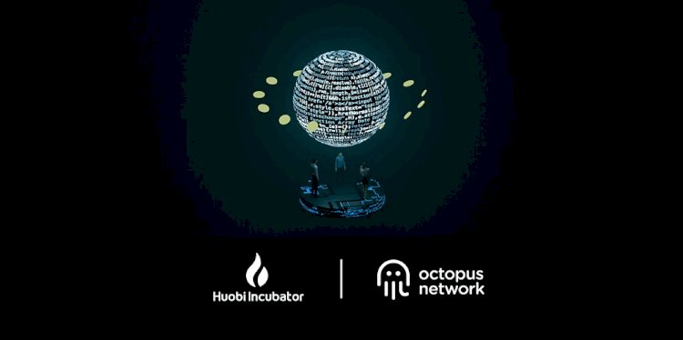 Huobi Incubator Web3 girişimlerine desteğini Octopus Network iş birliğiyle sürdürüyor