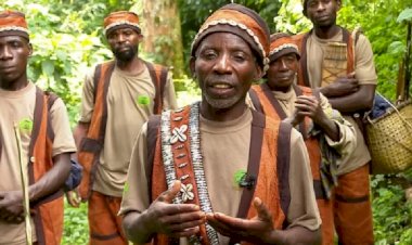 Uganda'da yaşam alanlarından sürülen yerel halkın mücadelesi: 'Ormana koşa koşa dönerim'
