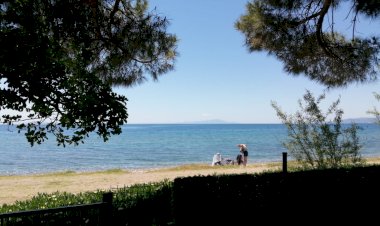 Denize sıfır zeytinlik, denize sıfır ev, size özel plaj, hepsi bir arada  olur mu?