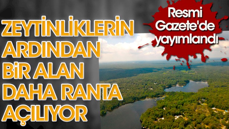 Zeytinliklerin ardından bir alan daha ranta açılıyor
