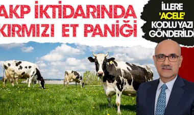AKP iktidarında kırımızı et paniği. İllere 'acele' kodlu yazı gönderildi
