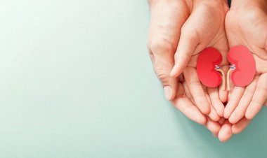 Türkiye’de her 6-7 yetişkinden 1’i böbrek hastası!