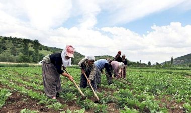 Tarımsal girdi fiyatlarında büyük artış