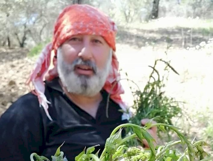 ACI OT (Kuzey Egede)  SARMAŞIK OTU (Kıyı Egede) AVRANOZ (Güney Ege - Akdeniz- Akseki)