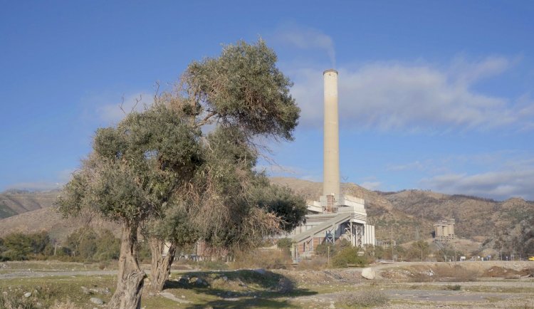 Milas’ın geleceği ‘‘AB tescilli’’ zeytinyağında, kömürde değil