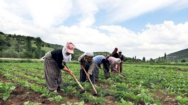 Tarımsal girdi fiyatlarında büyük artış