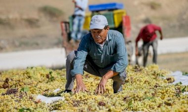 Çiftçinin borcu 187 milyar TL’ye çıktı