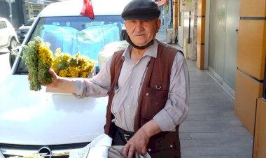 İzmir Şirinyer Kekikçisi