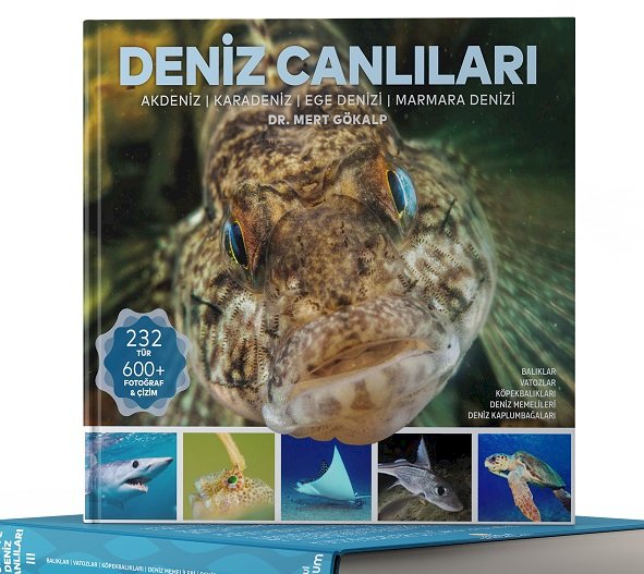 TÜRKİYE’NİN EN KAPSAMLI “DENİZ CANLILARI” KAYNAĞI OKUYUCUYLA BULUŞTU