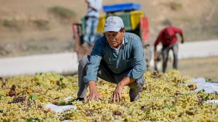 Çiftçinin borcu 187 milyar TL’ye çıktı