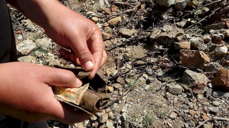 Fidan dikerken bulduğu cüzdan 20 yıl önce çalınmış