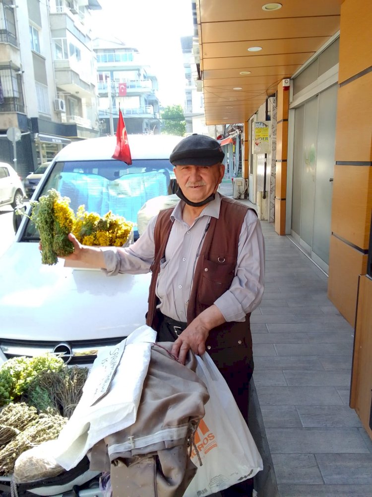İzmir Şirinyer Kekikçisi