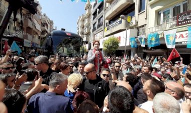 7 tane ineğini kestiren çiftçi: Öldük artık, kurtar bizi Meral Abla