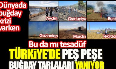 Türkiye’de peş peşe buğday tarlaları yanıyor! Bu da mı tesadüf…