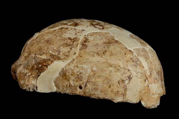 Antik DNA, Yerli Amerikalıların Asya Köklerini Gösteriyor