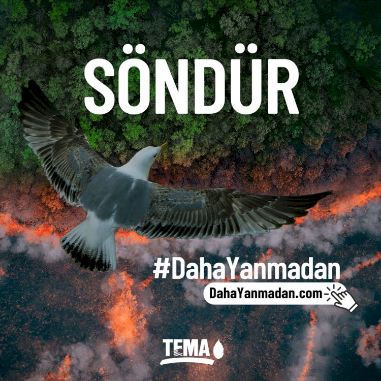 Orman Yangınlarını Önlemek Söndürmekten Daha Kolay