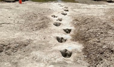 Kuraklık Dinozor Ayak İzlerini Gün Yüzüne Çıkarttı