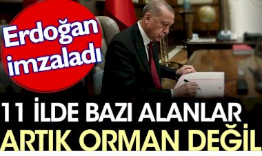 11 ilde bazı alanlar artık orman değil. Erdoğan imzaladı