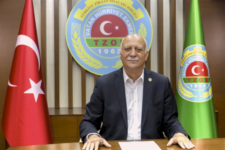 Devlet ve millet el ele verip fındığa sahip çıkmalı