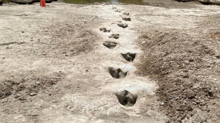 Kuraklık Dinozor Ayak İzlerini Gün Yüzüne Çıkarttı