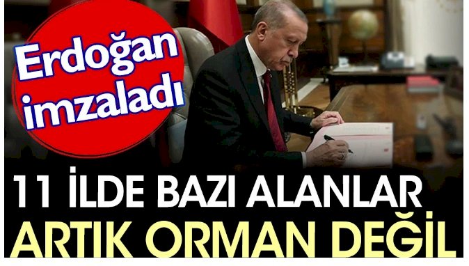 11 ilde bazı alanlar artık orman değil. Erdoğan imzaladı