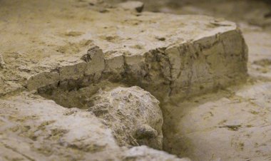 Çin’de 1 Milyon Yıllık Homo erectus Kafatası Bulundu