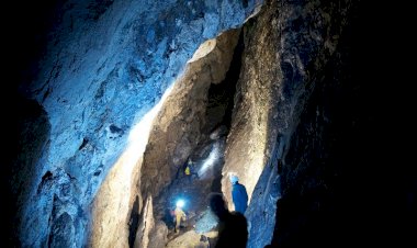 Orta Asya, İnsan Ataları için Kilit Bir Bölgeydi