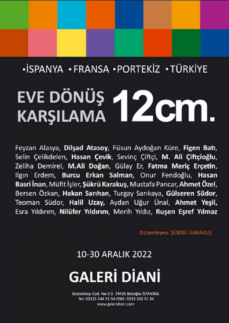 GALERİ DİANİ YENİ YIL BB; 5 YILDAN BERİ SÜREGELEN ‘EVE DÖNÜŞ