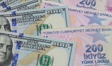 Moody’s: Ukrayna ve Türkiye’deki bankaların döviz riski çok yüksek