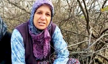 Meraları yok edilen kadınlar isyan etti: Nerede adalet?