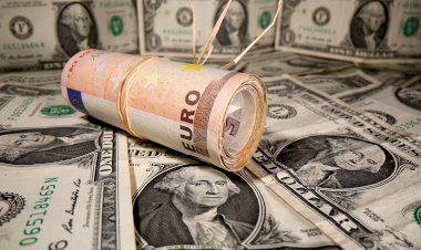 Dolar ve euro rakamlarında son durum: