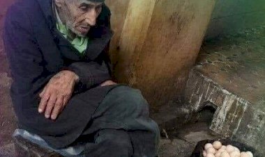 Ona ; -"Yumurtaları ne kadara satıyorsun?" diye sordu."