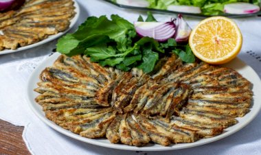 Fırında kızartma tadında hamsi!