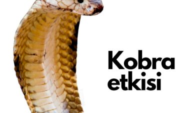 Kobra etkisi"