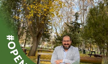 “Zeytin Ağacı”