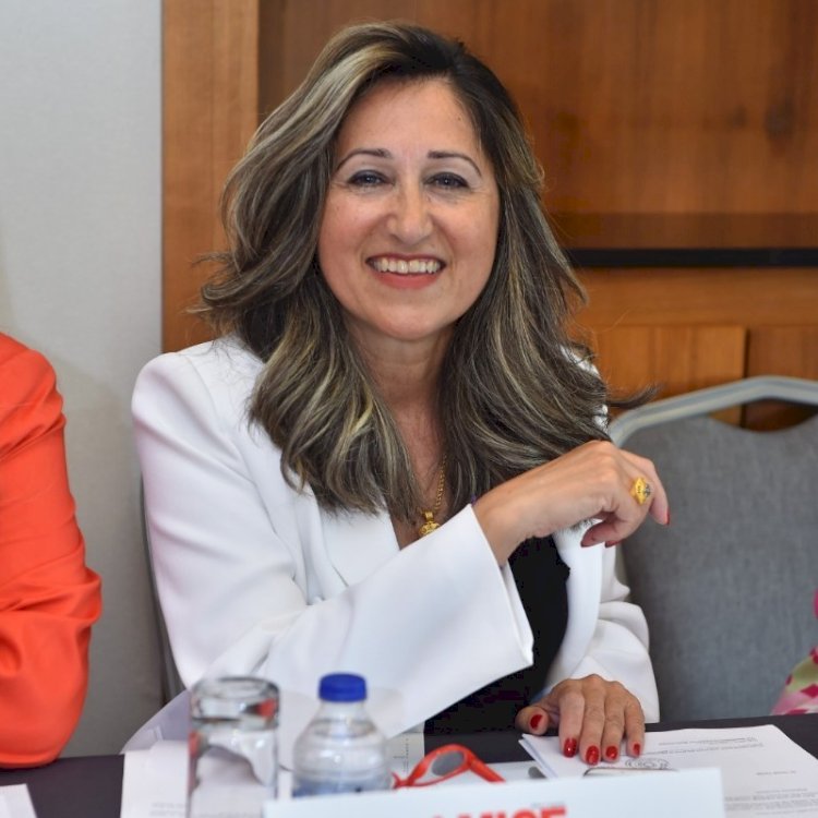 Ece Güner Toprak Güçlendirilmiş Parlamenter Sistem