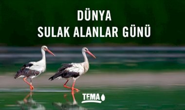 Bugün Dünya Sulak Alanlar Günü