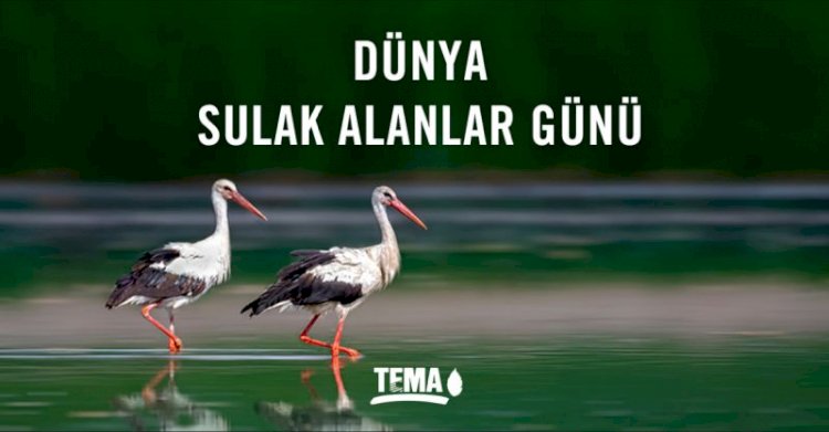 Bugün Dünya Sulak Alanlar Günü