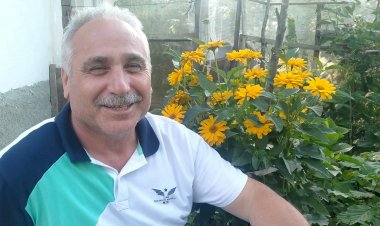 Türkiye'nin geleceği zeytin ağacının bilimsel hikayesi! - 3